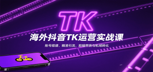 海外抖音TK运营实战课:账号搭建、精准引流、剪辑带货与私域转化-资源大汇总