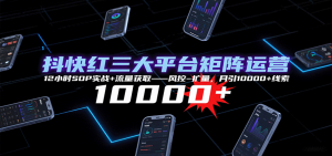 抖快红三大平台矩阵运营，12小时SOP实战+流量获取-风控-扩量，月引10000+线索-资源大汇总