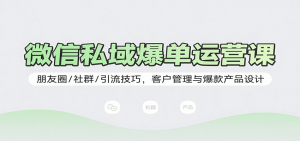 微信私域爆单运营课:朋友圈/社群/引流技巧,客户管理与爆款产品设计-资源大汇总