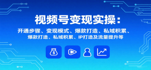 视频号变现实操,含开通步骤、变现模式、爆款打造、私域积累、IP打造及流量提升等-资源大汇总