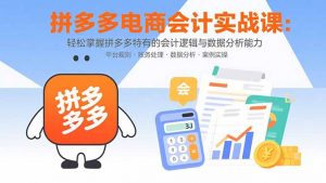 拼多多电商会计实战课:轻松掌握拼多多特有的会计逻辑与数据分析能力-资源大汇总
