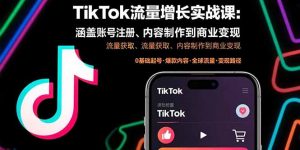 TikTok流量增长实战课：涵盖账号注册、流量获取、内容制作到商业变现-资源大汇总