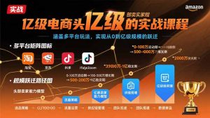 亿级电商头部卖家的实战课程:涵盖多平台玩法,实现从0到亿级规模的跃迁-资源大汇总