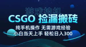 8月最新游戏搬砖，CSGO纯挂机，不需要玩游戏，实现真挂机，月入1W+-资源大汇总