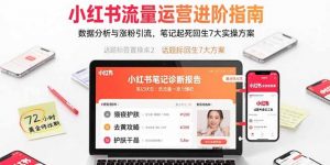 小红书流量运营进阶指南，数据分析与涨粉引流，笔记起死回生7大实操方案-资源大汇总