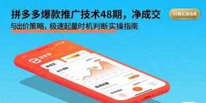 拼多多爆款推广技术48期，净成交与出价策略，极速起量时机判断实操指南-资源大汇总