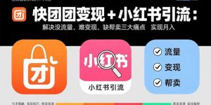 快团团变现+小红书引流：解决没流量、难变现、缺帮卖三大痛点 实现月入3w+-资源大汇总