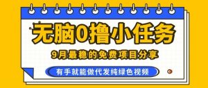 0学费0风险,2025风口项目,无脑免费撸,代发纯绿色视频,一部手机人人可做【揭秘】-资源大汇总