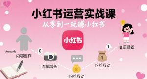 小红书运营实战课,从零到一玩賺小红书-资源大汇总
