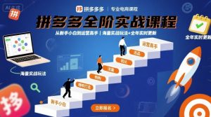 拼多多全阶实战课程,从新手小白到运营高手,海量实战玩法+全年实时更新【2025年9月更新】-资源大汇总