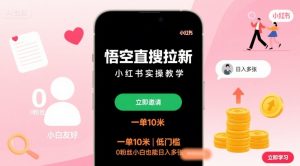悟空直搜拉新小红书实操教学，一单10米，低门槛，0粉丝小白也能日入多张-资源大汇总