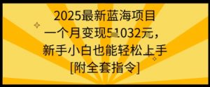 2025最新蓝海项目一个月变现1w+新手小白也能轻松上手【附全套指令】-资源大汇总