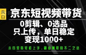 你出账号，我来运营，保底日入1k+，开启躺賺模式【揭秘】-资源大汇总