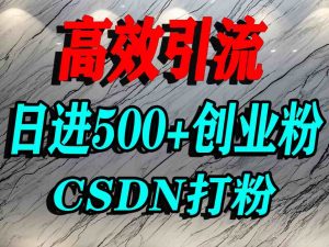 怎么打创业粉？CSDN又一个你不知道的打粉引流神秘平台，单人日引500+精准流量-资源大汇总