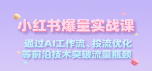 小红书爆量实战课,通过AI工作流、投流优化等前沿技术突破流量瓶颈-资源大汇总