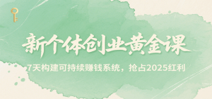 新个体创业黄金课，7天构建可持续赚钱系统，抢占2025红利-资源大汇总