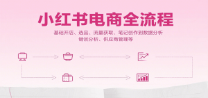 小红书电商全流程，基础开店、选品、流量获取、笔记创作到数据分析、供应商管理等-资源大汇总