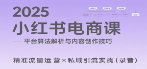2025小红书电商课：解析算法，创作高转化内容，助力卖家获取流量实现变现(录音)-资源大汇总