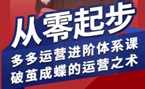 拼多多运营进阶系统课,从零起步,多多运营进阶体系课,破茧成蝶的运营之术(更新9月)-资源大汇总