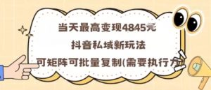 当天最高变现1k+，抖音私域新玩法，可矩阵可批量复制-资源大汇总