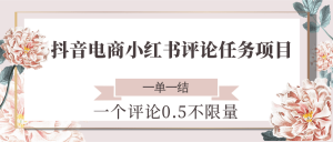 抖音电商小红书评论任务项目,一个评论0.5,一单一结 不限量-资源大汇总
