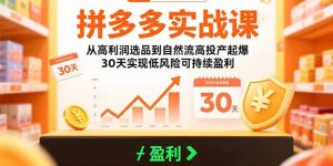 拼多多实战课：从高利润选品到自然流高投产起爆 30天实现低风险可持续盈利-资源大汇总