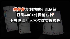 拼多多复制粘贴引流秘籍,日引400+付费创业粉,小白也能月入六位数实操…-资源大汇总