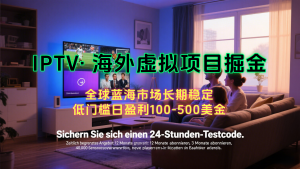 海外虚拟掘金】日赚100-200美金，自己在家就可以闷声发大财，长期可做-资源大汇总