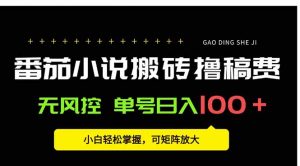 番茄小说创作人搬砖赚稿费，无风控单号日入100＋，小白轻松掌握，可矩…-资源大汇总