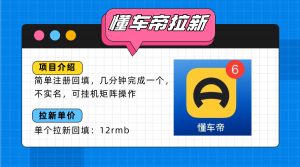 懂车帝邪修拉新玩法,简单注册回填,不sm,单个拉新12rmb,轻松日入200+-资源大汇总