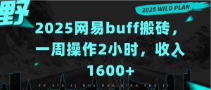 2025网易buff搬砖,一周操作2小时,收入1600+-资源大汇总