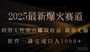 2025最新爆火赛道,利用人生弱点赚取收益,全程一键批量制作,小白轻松…-资源大汇总