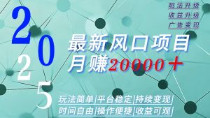 2025广告赛道新风口-月赚2W+玩法简单,时间自由-资源大汇总