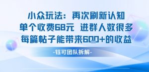 小众玩法再次刷新认知单个收费68米进群人数很多每篇帖子能带来6张的收益-资源大汇总