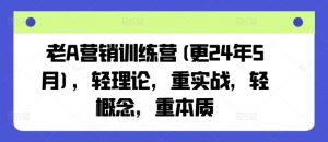 老A营销训练营(更25年8月),轻理论,重实战,轻概念,重本质-资源大汇总