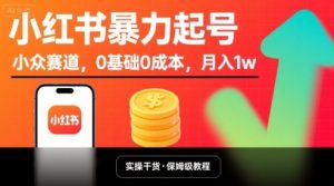 小红书暴力起号,小众赛道,0基础0成本,月入1w-资源大汇总