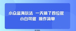 小众蓝海玩法 一天搞了四位数 小白可做 操作简单-资源大汇总