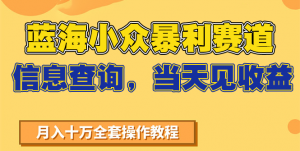 蓝海小众暴利赛道，信息查询，当天见收益，不讲玄学，7天搞了2万+-资源大汇总
