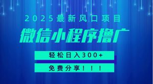 微信小程序撸广,最新风口项目,日入300+ 免费分享 可批量操作 小白可轻松上手!!-资源大汇总