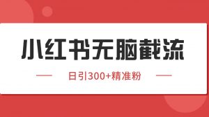 小红书截流同行客源,独家野路子获客玩法 日引200+暴力获客-资源大汇总