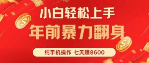 七天狂赚8600,小白纯手机操作,日入1000+-资源大汇总