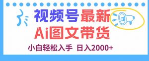 视频号最新AI图文带货,每天几分钟,小白轻松入手,日入2000+-资源大汇总