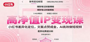 高净值IP变现课:小红书差异化定位,文案点赞成金, AI高效做短视频-资源大汇总